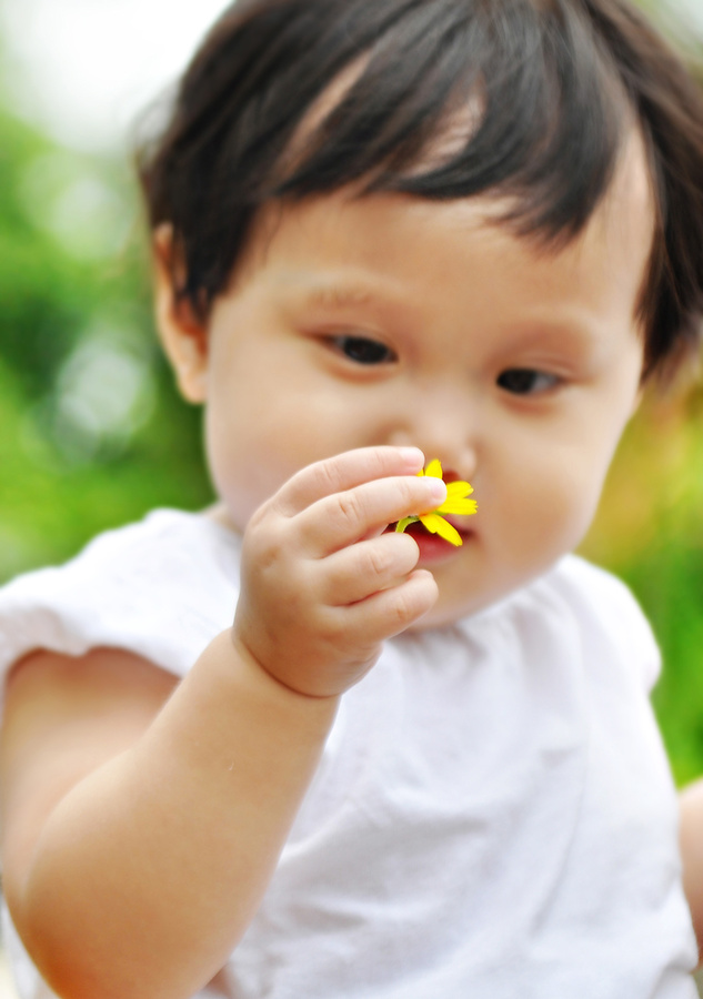 Yellow Flower